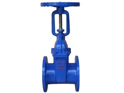 Z41X明杆弹性座封闸阀